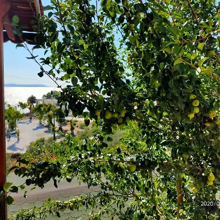 Selenes 게스트하우스