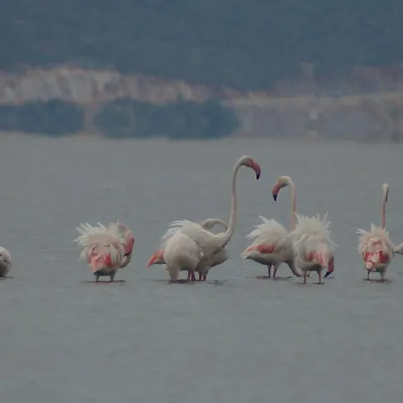 Selenes Affittacamere 3*