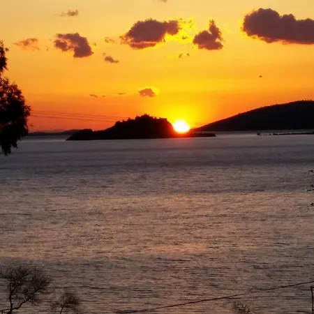 Selenes Affittacamere