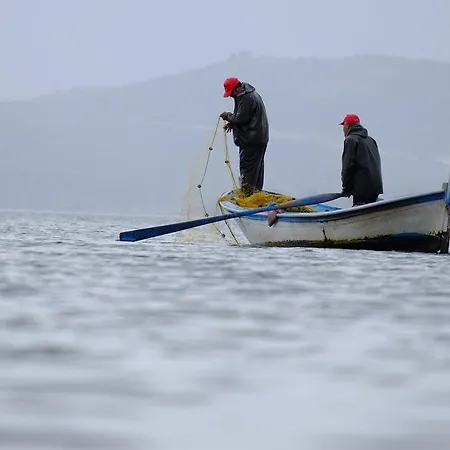 Selenes Affittacamere