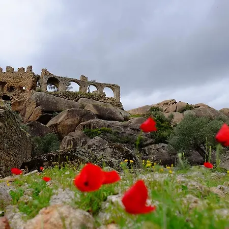 Selenes Affittacamere Kapikiri