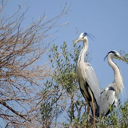 Selenes Affittacamere 3*