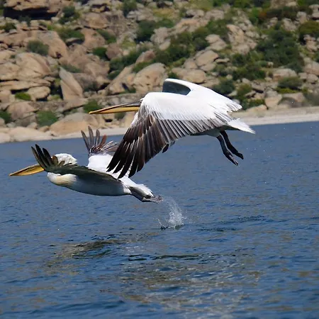 Selenes Maison d'hôtes
