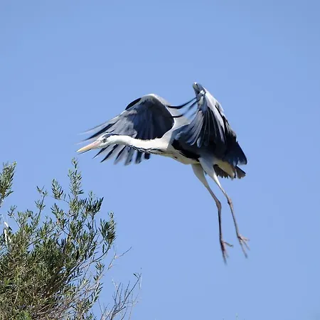 Maison d'hôtes Selenes