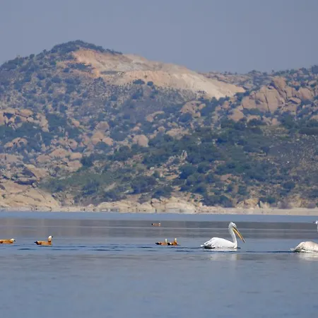 Selenes Affittacamere Kapikiri