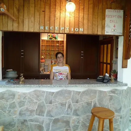 Guest house Selenes 3*