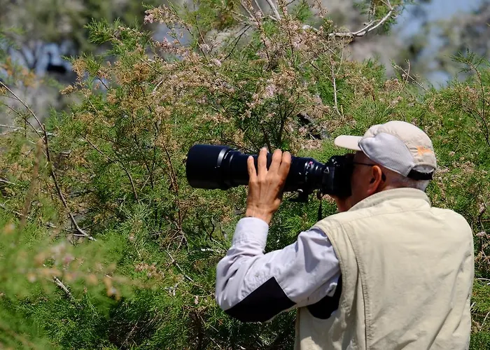 Casa de hóspedes Selenes 3*