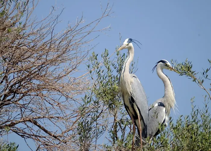 Selenes Casa de hóspedes 3*