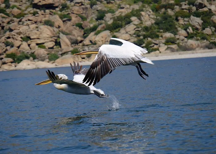 Selenes Casa de hóspedes