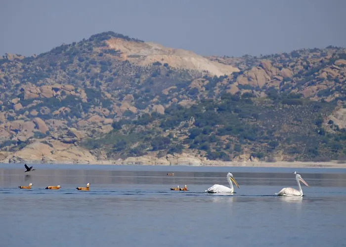 Selenes בית הארחה Kapikiri